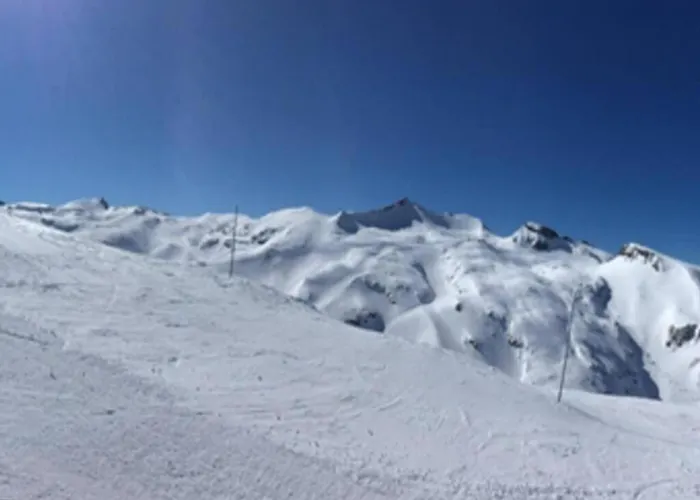 In With Hot Tub レ・デュー・アルプ